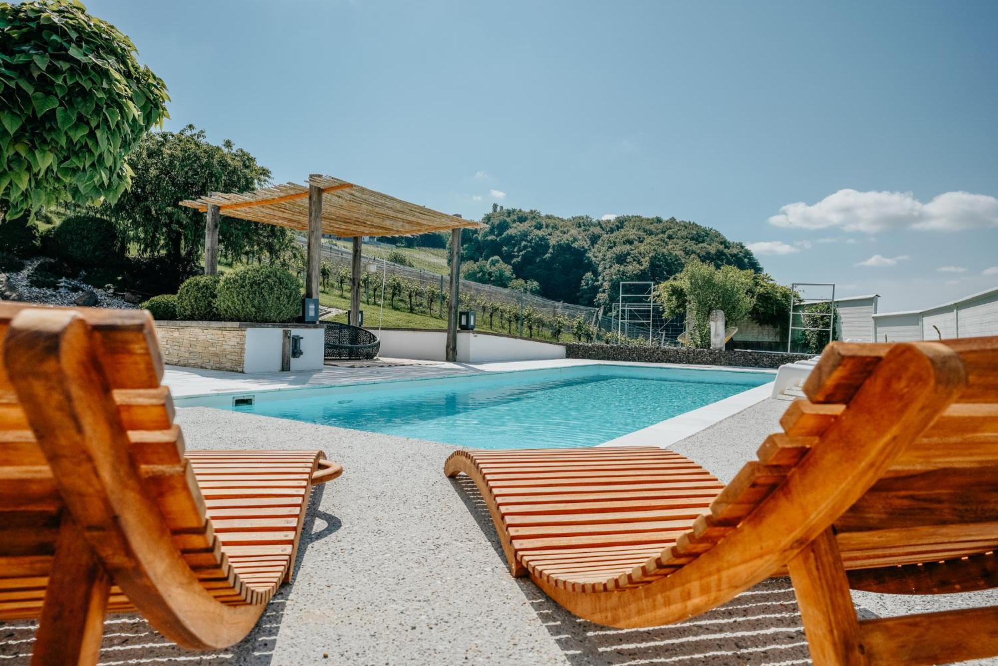 Weingut Holler Chalet Weingarten Spielfeld Esterno foto